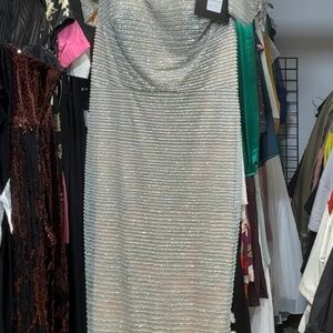 Silver Beaded Maxi Dress with Subtle Sheen
